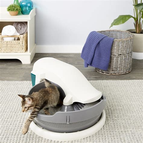 are the electric cat litter box reviews|cat litter recommendations.